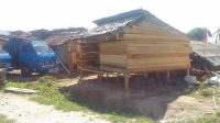 Terbuat dari Papan Beratap Rumbia, Warga Desa Loru Peroleh Pembagian Huntara