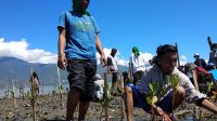 Mangrove Lebih Tangguh dari Tanggul, JMK – Oxfam Target 10 Ribu Bibit Mangrove di Teluk Palu
