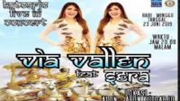 Poster Konser Via Vallen Disomasi
