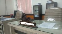 Jelang Lengser, Legislator  Kota Palu Malas Berkantor