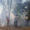 Hutan dan Lahan Terbakar di Touna, Polisi Sedang Menyelidiki Penyebab Kebakaran