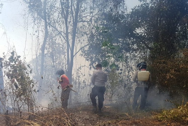 Kapolsek Tojo Bersama Warga Saat Memadamkan Api