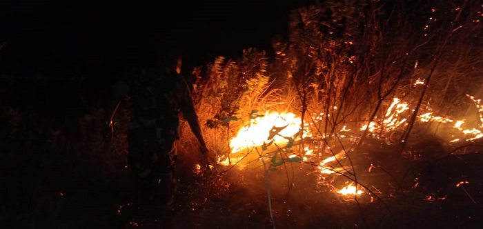 Foto Haeell Kebakaran