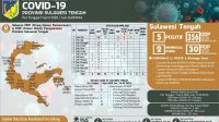 Update Per 7 April: Positif Covid-19 di Sulteng 5 Kasus, 356 ODP dan 30 PDP