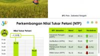 NTP di Sulteng Turun 1,11 Persen, Ini Penyebabnya