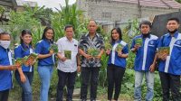 Anggota DPR  Bantu GAMKI Palu Bibit Sayur