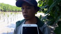 Peringati Hari Sumpah Pemuda, Pecinta Alam di Parimo Tanam Puluhan Ribu Bibit Mangrove