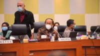 Perekonomian  Nasional di Jalur Pemulihan