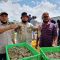 Industri Udang Nasional, Tantangan dan Peluang