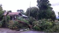 Di NTT, Tekanan Rendah di Australia Barat Picu Angin Kencang Berkecepatan 25 Knot
