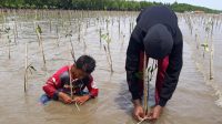Warga Diingatkan Tidak Lakukan Pembabatan Liar Hutan Mangrove di Kawasan Konservasi Tinombo