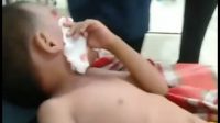Digigit Anjing Liar, Enam Warga Tomini Sudah Mendapatkan Suntikan Rabies