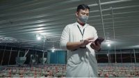 Leap-Telkom Hadirkan IoT Smart Poultry, Biaya Operasional Peternak Turun hingga 50%