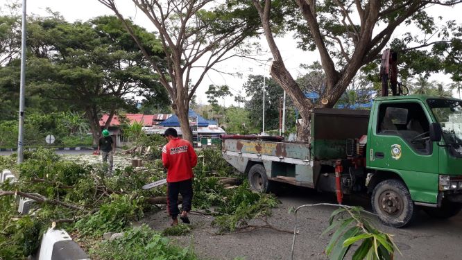 Pemkab Parimo Pangkas Pohon Pelindung