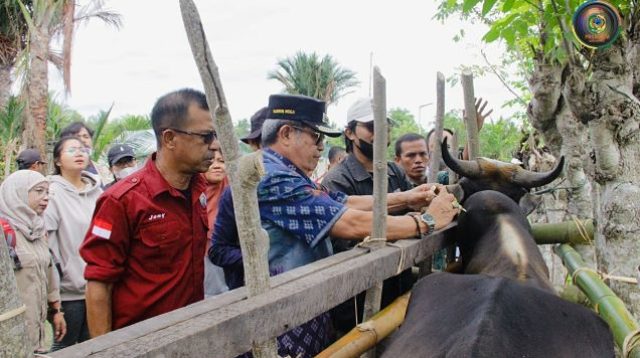 Cegah PMK, Pemkab Parimo Vaksinasi Ternak sapi