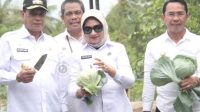 Wagub Sulteng Tanam 1000 Pohon Bersama Ibu Negara dan Ibu Wury Ma’aruf Amin