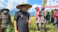 Maret 2023, Parimo Target Panen Padi 10 Ribu Hektare Lebih