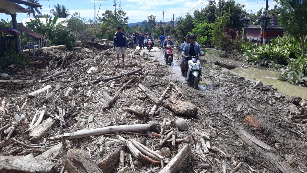 Badan Jalan di Desa Balinggi Jati tertutup oleh tumpukan kayu. (Foto: Aswadin/Palu Ekspres.com)