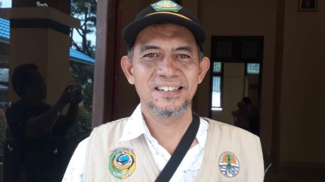 Manggrove Dibabat di Toboli, DLH Sebut Bukan Kawasan Konservasi