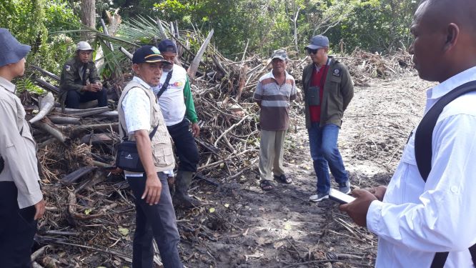 DLH Parimo Turun ke Lokasi Pengrusakan Manggrove di Toboli