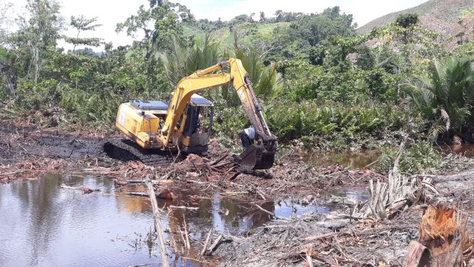 Pemkab Parimo Hentikan Pembangunan Tambak di Toboli.Alat berat Exavator saat membuka lahan tambak di Desa Toboli. (Foto - Aswadin/Palu Ekspres).