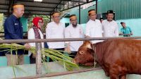 Desa Binaan, BSI Dukung Parangbanoa Angkat Potensi Peternakan Sapi Potong