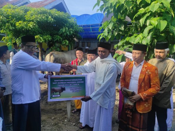 Terima Sapi Kurban dari Jokowi, Gubernur Sulteng: Terima Kasih Pak Presiden