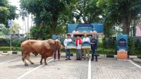 Telkomsel Salurkan Bantuan Hewan Kurban ke 46.000 Penerima Manfaat