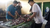 Perayaan Idul Adha 1444 H, Pemkab Parimo Salurkan 18 Hewan Kurban