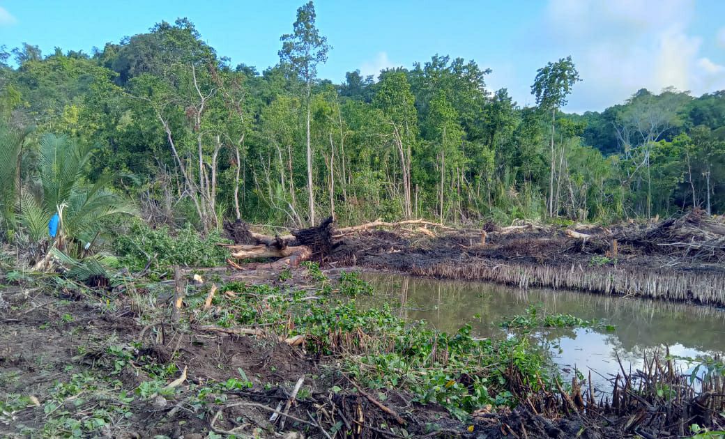 DLH Parimo Terima Laporan Dugaan Pengrusakan Hutan Mangrove di Toboli. (Foto: Aswadin/PaluEkspres.com)