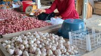 Harga Bawang Putih di Parimo Naik, Tembus Rp 48 Ribu per kilogram. (Foto: Aswadin/PaluEkspres.com)