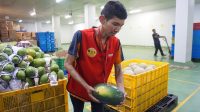 Akomodir Penyandang Disabilitas, Alfamidi Berkomitmen Dorong Budaya Inklusi