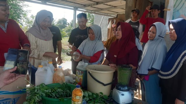 Petani di Soulove, Sigi Dilatih Membuat Pupuk dan Pestisida Alami yang Ramah Lingkungan.