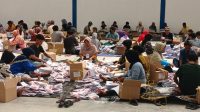 Surat Suara Rusak, Ketua KPU Parimo Klaim Sudah Lapor ke KPU Provinsi Sulteng