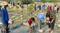 Memperingati Hari AIR Sedunia 2024, Alfamidi Branch Palu Tanam 1000 Bibit Mangrove dan Bersih Pantai