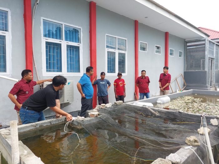 DKP Sulteng Serahkan Bantuan ke LPKA Palu 500 Ekor Bibit Ikan Nila