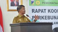 Rakor Tata Kelola Perkebunan Kelapa Sawit, Berikut Penyampaian Gubernur