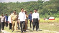 Presiden Jokowi Didampingi Mentan Andi Amran Tinjau Program Pompanisasi Klaten