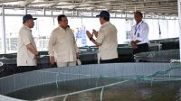 Prabowo Kunjungi Tambak Ikan Nila Salin di Karawang, Cek Potensi Bahan Makan Bergizi Gratis