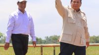 Pengamat: Layak Diapresiasi Publik, Panen Raya Padi 2025 Sangat Tinggi