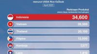 Departemen Pertanian Amerika Serikat (USDA) Ramalkan Produksi Beras Indonesia Tertinggi di ASEAN