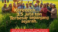 Serapan Beras Bulog Januari–Mei Tertinggi dalam 57 Tahun, Tanpa Impor