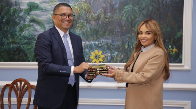 Deputi Bidang Koordinasi Informasi dan Evaluasi Komunikasi Fritz Siregar melakukan pertemuan dengan unit komunikasi kepresidenan Kolombia. (Foto: PCO)