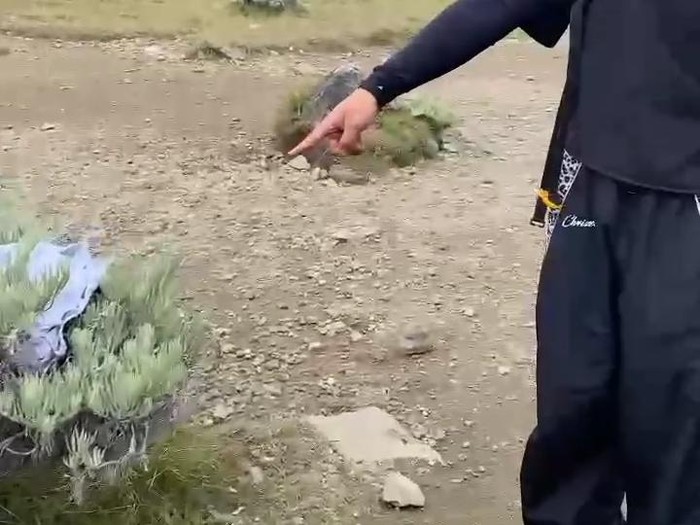 Tindakan tak terpuji mencoreng keindahan alam Gunung Gede Pangrango. Sejumlah pendaki didapati membuang celana dalam di taman edelweiss dan mencemari sumber mata air. (Foto: Arsip)