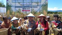 Wakil Gubernur Sulteng Hadiri Panen Raya Jagung Serentak Kuartal II