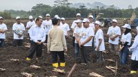 Mentan Tegaskan Komitmen Pemerintah untuk Petani Tebu di Hadapan Wapres