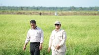 Survei Litbang Kompas: 71,5 Persen Puas dengan Kinerja Kementan