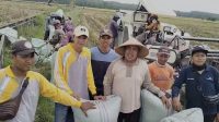 Produksi Meningkat, Stok Beras Berlimpah, Litbang Kompas: Masyarakat Puas dengan Kinerja Kementan