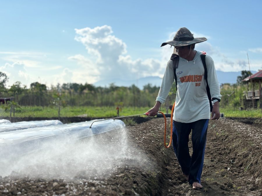 IMIP Dorong Pengembangan Hortikultura Berkelanjutan, Transformasi Lahan dan Ekonomi Lokal