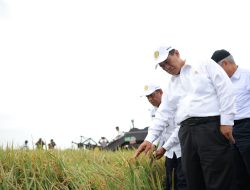 Mentan Amran Copot Pejabat Eselon II dan III karena Indisipliner, “Ini Amanah Rakyat, Tidak Boleh Disalahgunakan